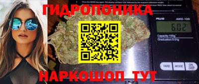 ПСИЛОЦИБИНОВЫЕ ГРИБЫ Лесосибирск